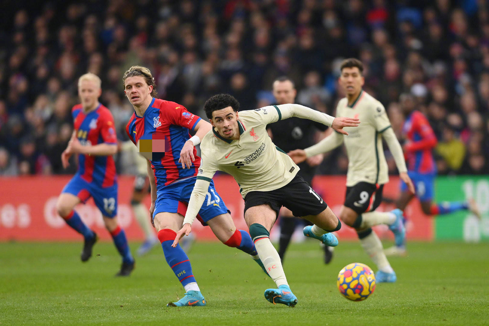 得到了验证 得到了验证